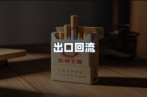 出口回流